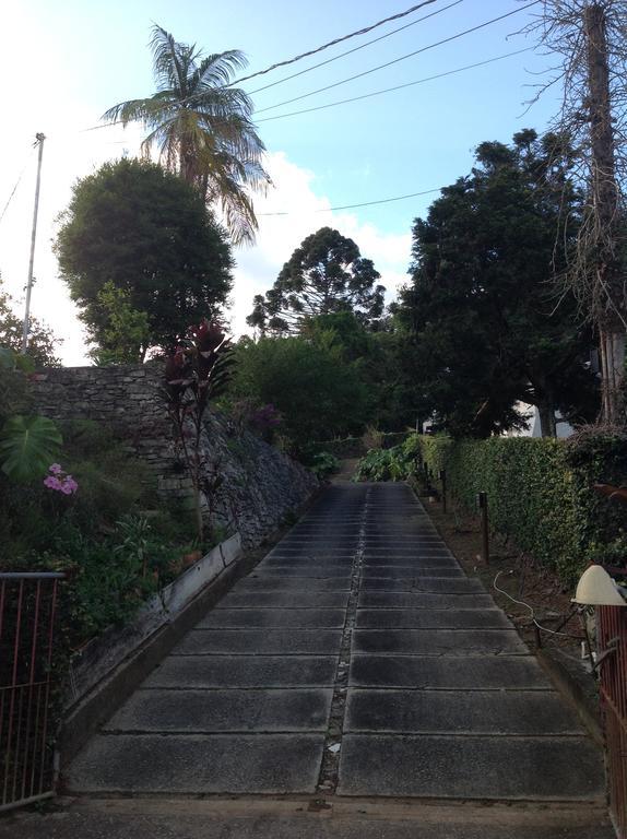 Braunes Guest House Nova Friburgo Exterior photo